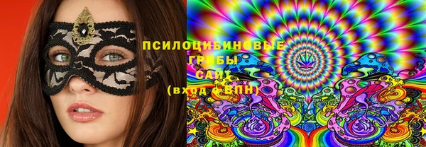 эйфоретик Майский