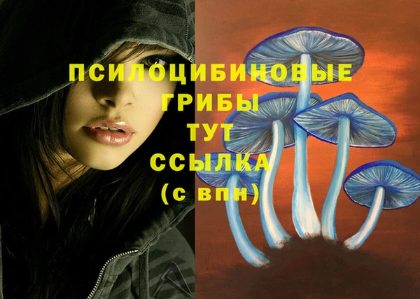 кокаин VHQ Магас
